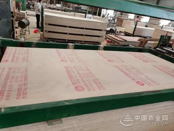 福汉全桉阻燃板 新品上市 环保升级