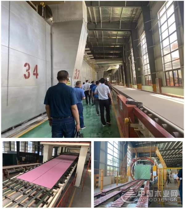 走进兔宝宝石膏板工厂，品自主制造“匠心之道”