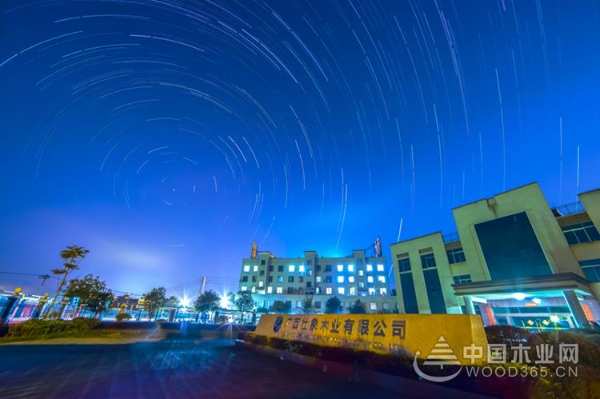 十大生态板品牌壮象荣获“中国林草产业5A级诚信企业”荣誉称号