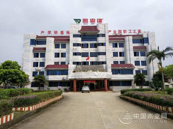 鹏森缘板材丨逆境更强 坚韧成长，郑州运营中心火热招商中