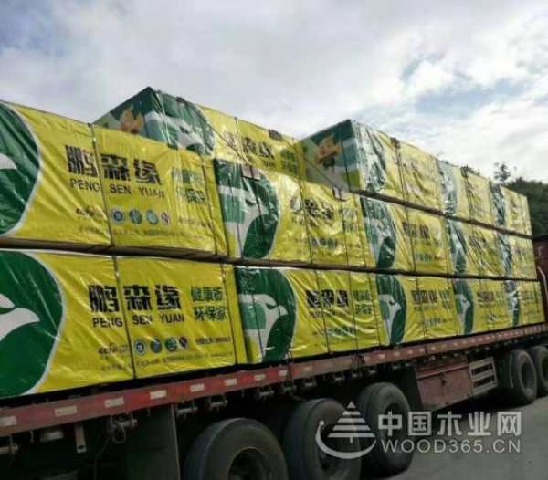 鹏森缘板材丨逆境更强 坚韧成长，郑州运营中心火热招商中