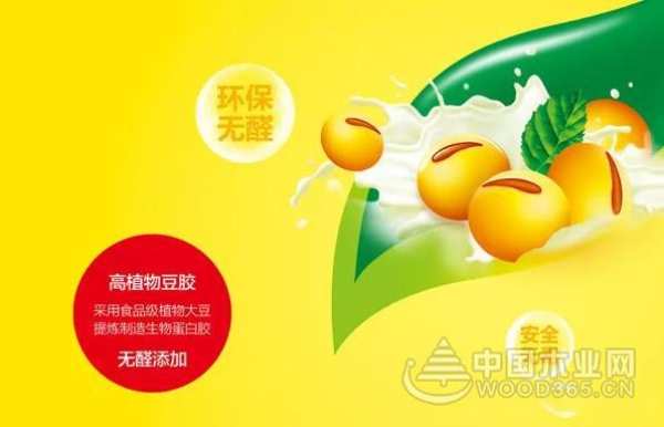 慧眼辩材：佳力板材，看得见的品质保障