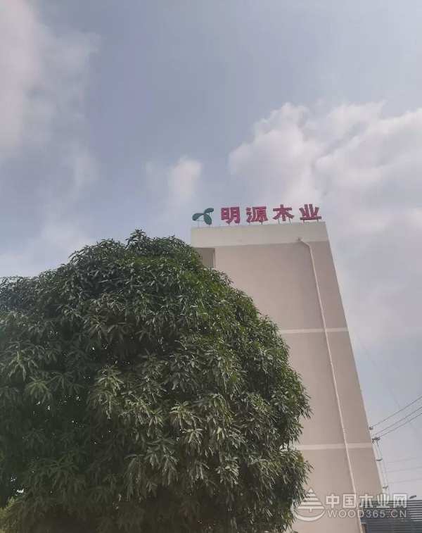 明源木业：精工巧匠孕育精品 卓越品质抒写辉煌