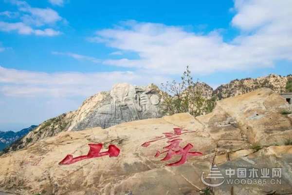 福威邦板材半年总结暨中层管理人员团建活动圆满结束！