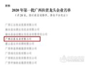 热烈祝贺壮象获评广西扶贫龙头企业！