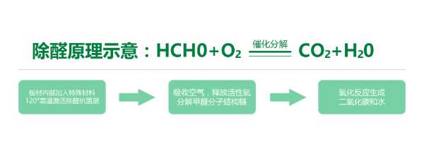 植物与呵护 | 大王椰板材除醛系列产品正式发布