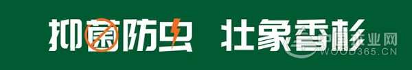 五百工匠铸传奇，文化壮象谱新篇！