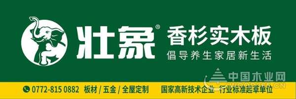 五百工匠铸传奇，文化壮象谱新篇！