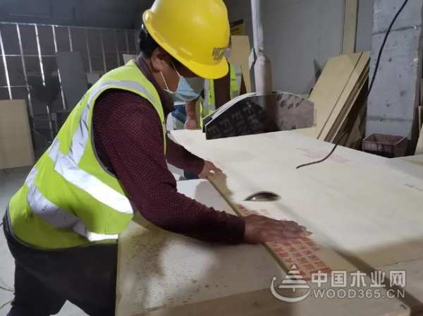 兔宝宝启动工程“公证检测”，绿色挑战100%，超标准品质！