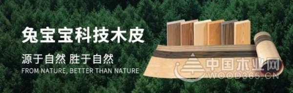 兔宝宝科技木皮——格桑木&雀眼树瘤，让高级灰得到最好诠释！