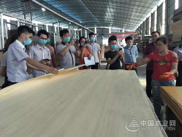 鹏森缘与品匠装饰强强联合，携手打造家装新时尚！
