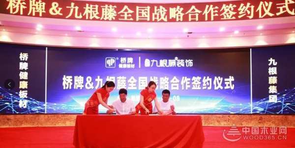 桥牌健康板材&九根藤集团战略合作签署仪式新闻发布会圆满成功！