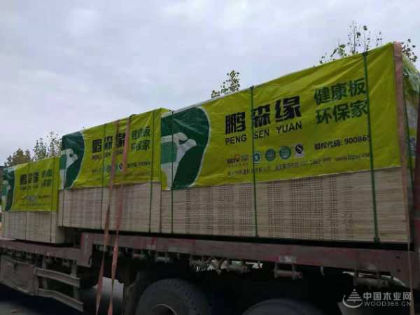 深入浙江  鹏森缘开启华东招商新篇章