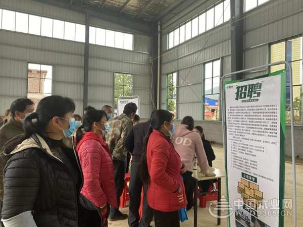 “民营企业招聘周”专场招聘会圆满成功