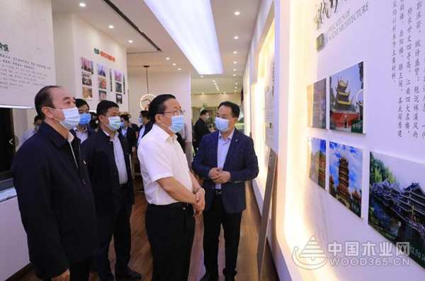 广西自治区党委常委、常务副主席到壮象调研香杉产业发展情况