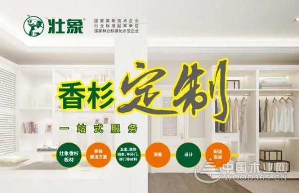 广西自治区党委常委、常务副主席到壮象调研香杉产业发展情况