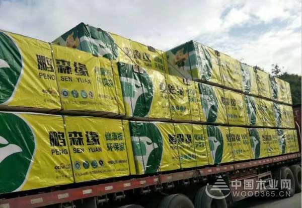鹏森缘|关爱家庭 全心守护健康生活