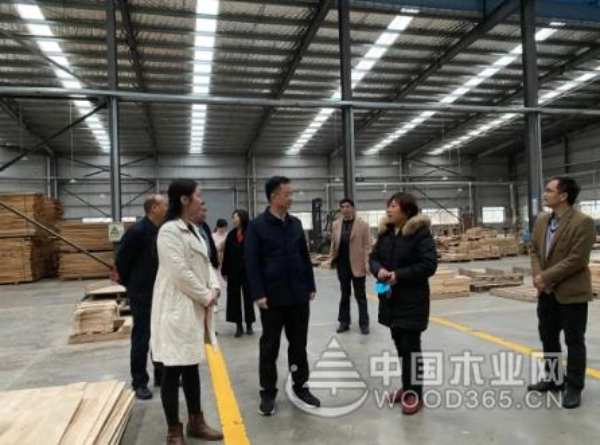 柳州市委常委王永超一行到“鹏森缘”走访调研