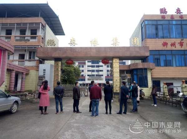 柳城县县委书记调研鹏森缘木业加工产业园发展情况
