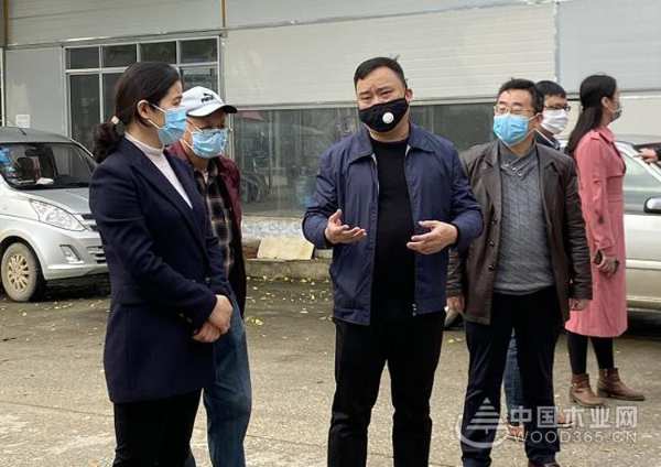 柳城县县委书记调研鹏森缘木业加工产业园发展情况