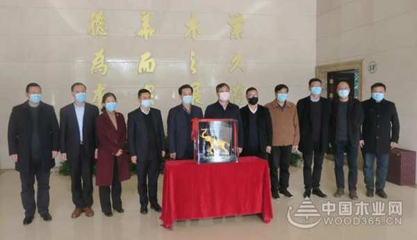 德华连续三年蝉联“金象”，项乐民副市长来公司颁奖