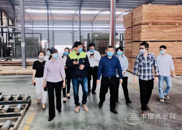崇左市副市长黄覃梅到广西桥牌指导复工复产