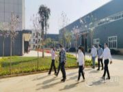 崇左市副市长黄覃梅到广西桥牌指导复工复产