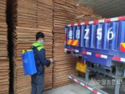积极部署 主动防疫 桥牌全面复工