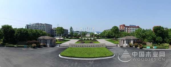 2020年兔宝宝地板工程代理商全国招募