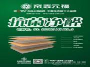 帝森元福抗菌净醛生态板上市 开启新年全国招商大幕