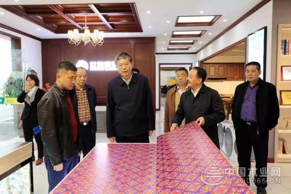 广西自治区副主席费志荣到壮象集团调研