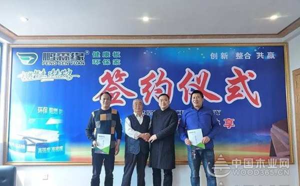 收获满满 扬帆再起航-鹏森缘2019年终总结