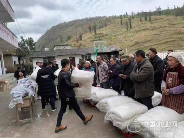 中湘家美板材助力