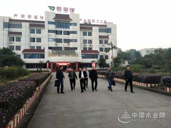 鹏森缘迎广西自治区领导莅临指导 并获得认可