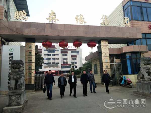 鹏森缘迎广西自治区领导莅临指导 并获得认可