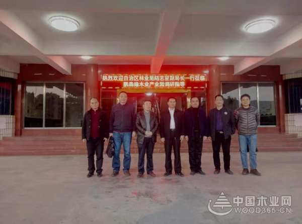 鹏森缘迎广西自治区领导莅临指导 并获得认可