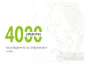 2019年，兔宝宝在行动