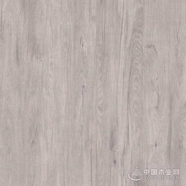 坚守创新之路 广西桥牌再推新品花色