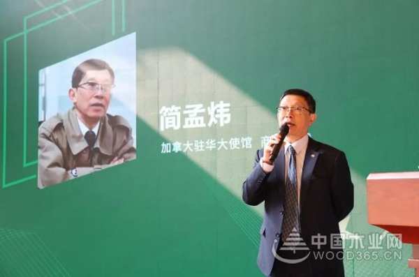 中国·兔宝宝，智能新家居丨2019“Alberta”杯家居国际设计大赛圆满结束