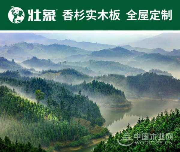 合作共赢|壮象参加“首届中国邮轮产业配套供应商论坛”
