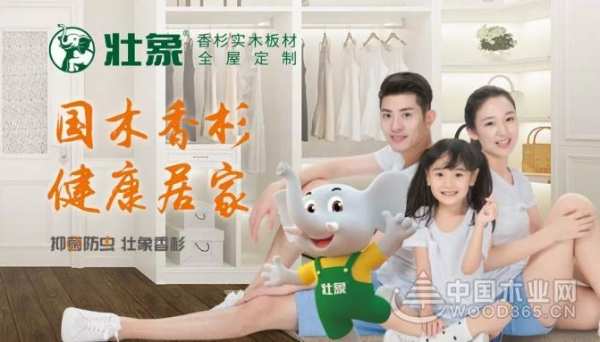 合作共赢|壮象参加“首届中国邮轮产业配套供应商论坛”