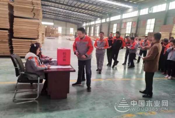 康贝德峰泰木业丨大爱无疆，上善若水