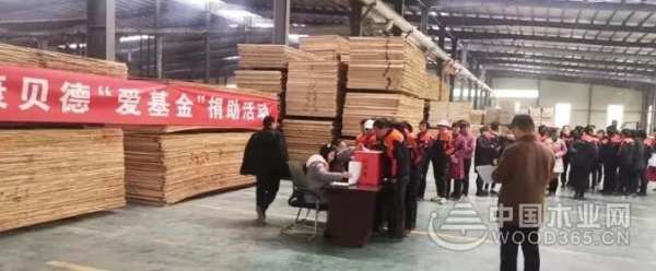 康贝德峰泰木业丨大爱无疆，上善若水
