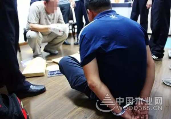 严惩造假！兔宝宝地板再出重拳