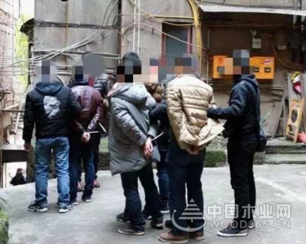 严惩造假！兔宝宝地板再出重拳
