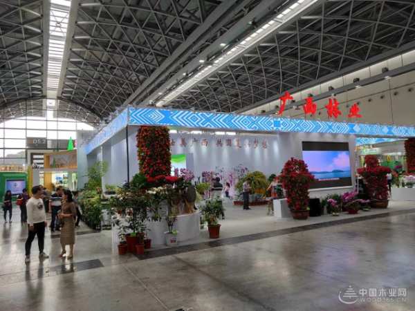 吸睛无数 广西林槿木业惊艳亮相东盟博览会