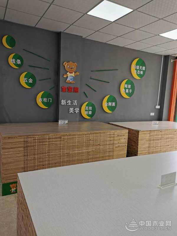 内外兼修促发展 宝宝熊厚积薄发砥砺前行