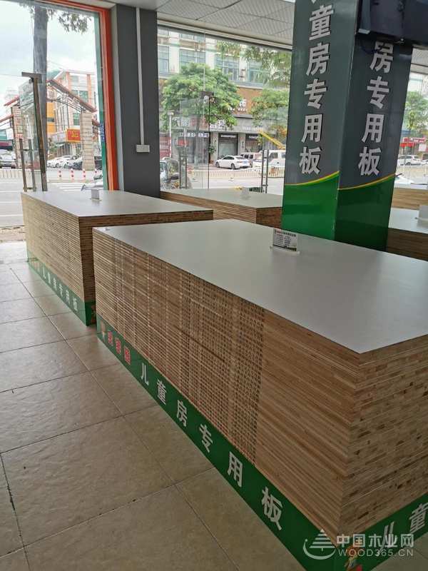 内外兼修促发展 宝宝熊厚积薄发砥砺前行