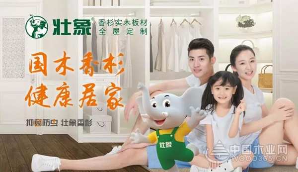 新形势 新形象丨2019壮象品牌营销模式培训会（福建站）圆满落幕！