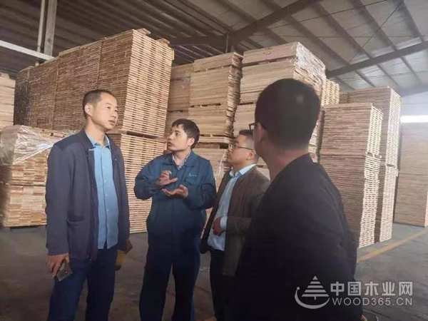莫干山喜迎“八方”来客，参观交流互促进！